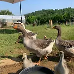 Le Dome Du Bonheur Camping Tourtouse