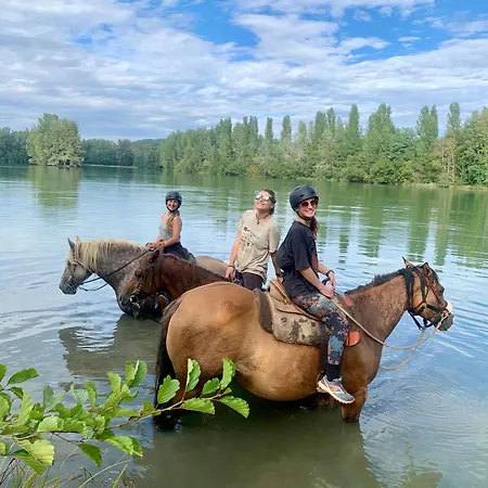 Kemp Le Dome Du Bonheur