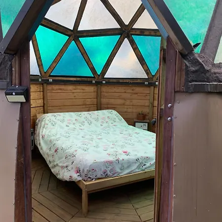 Le Dome Du Bonheur *