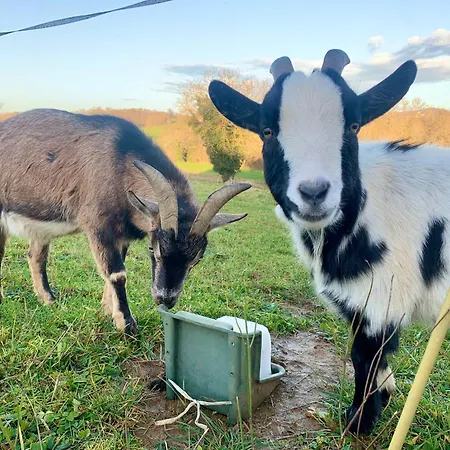 Le Dome Du Bonheur * Tourtouse
