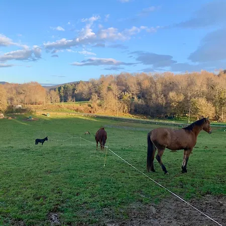 Le Dome Du Bonheur Kemp
