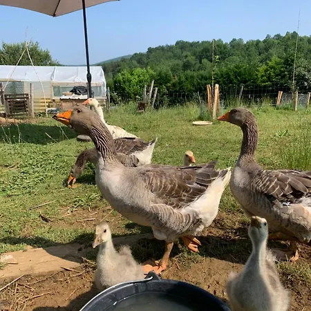 Le Dome Du Bonheur Kemp Tourtouse