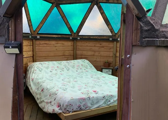 Le Dome Du Bonheur *