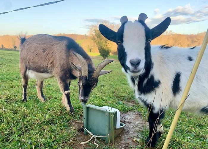 Le Dome Du Bonheur * Tourtouse